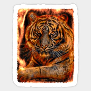 Fire tiger color power Sticker